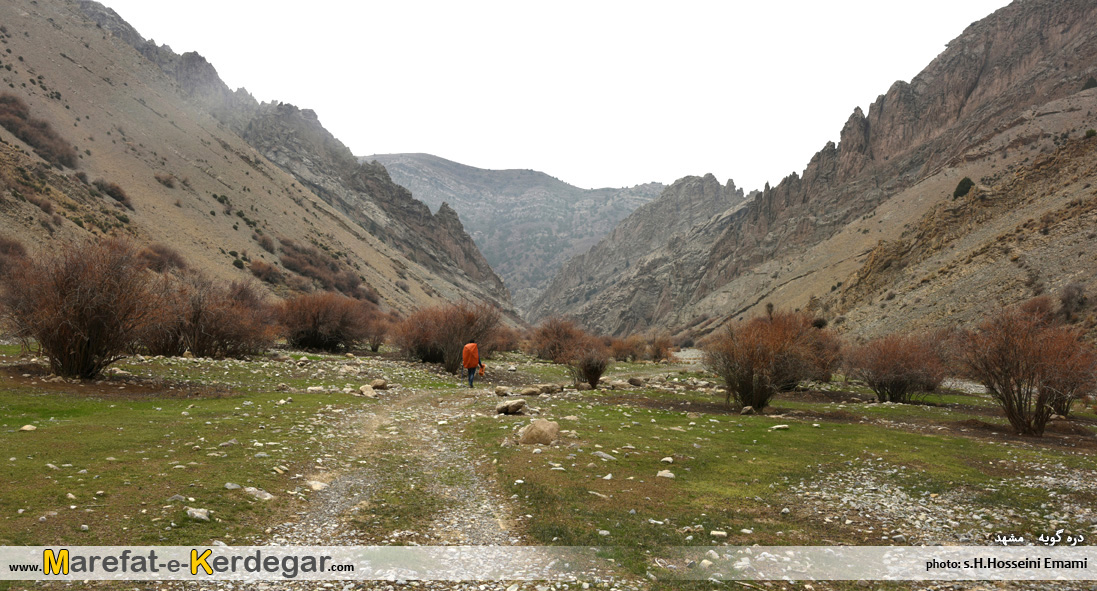 دره های رشته کوه هزارمسجد